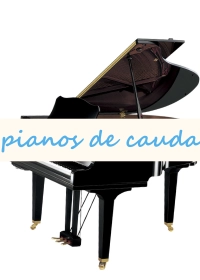 Categorias_Dez25_(1)