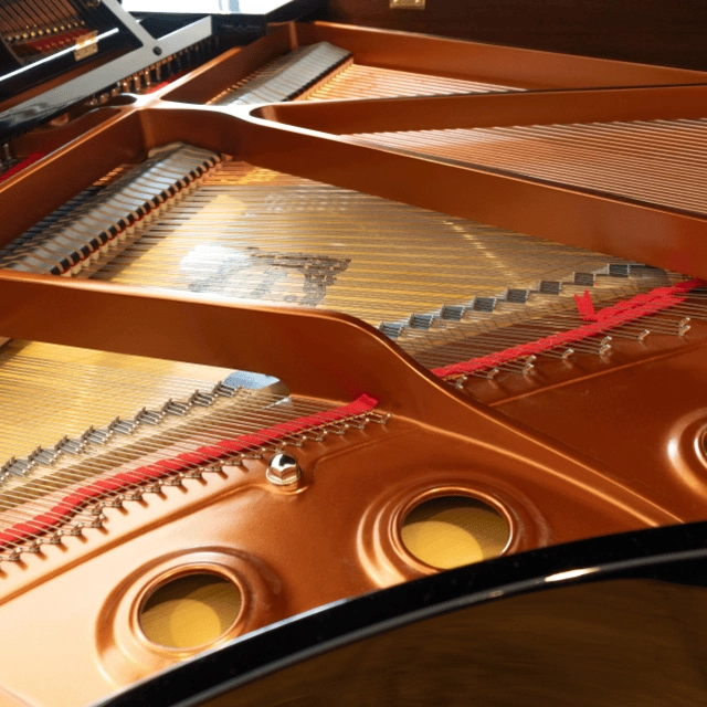 Piano Cordas da Parte Interior
