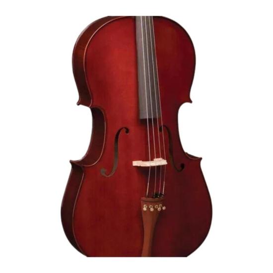 Violoncelo Profissional Eagle CE200 4/4 Envernizado por 5.291,00 à vista no boleto/pix ou parcele em até 12x sem juros. Compre na loja Mundomax!