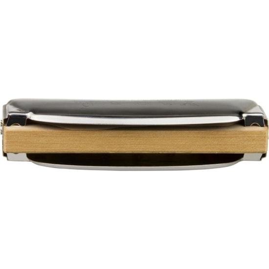 Gaita HERING Iniciante YARA 12 MI por 130,00 à vista no boleto/pix ou parcele em até 5x sem juros. Compre na loja Mundomax!