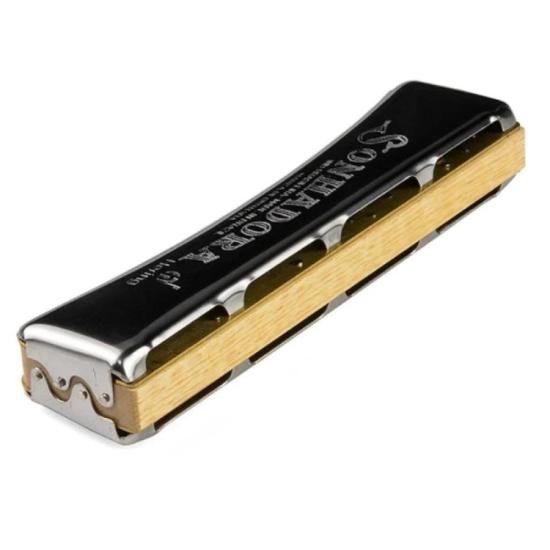 Gaita Oitavada 40 Vozes SONHADORA DÓ HERING por 179,00 à vista no boleto/pix ou parcele em até 7x sem juros. Compre na loja Mundomax!