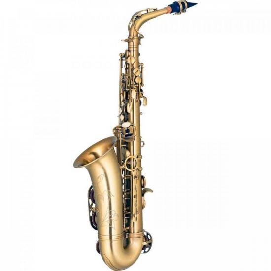 Saxofone Alto EB Eagle SA500-VG Envelhecido por 7.272,99 à vista no boleto/pix ou parcele em até 12x sem juros. Compre na loja Mundomax!