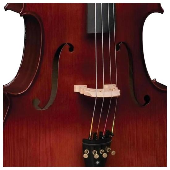 Violoncelo Profissional Eagle CE300 4/4 Envelhecido por 5.999,00 à vista no boleto/pix ou parcele em até 12x sem juros. Compre na loja Mundomax!