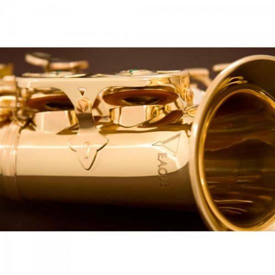 Saxofone Soprano Curvo Bb SP508 Laqueado EAGLE por 6.099,99 à vista no boleto/pix ou parcele em até 12x sem juros. Compre na loja Mundomax!