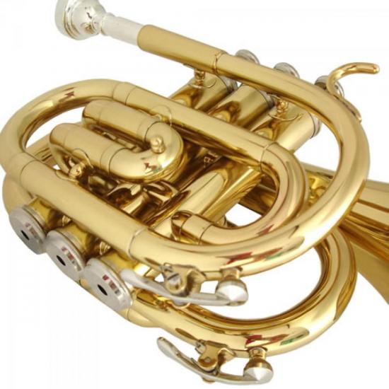 Trompete Pocket Laqueado Bb DOLPHIN por 0,00 à vista no boleto/pix ou parcele em até 1x sem juros. Compre na loja Mundomax!