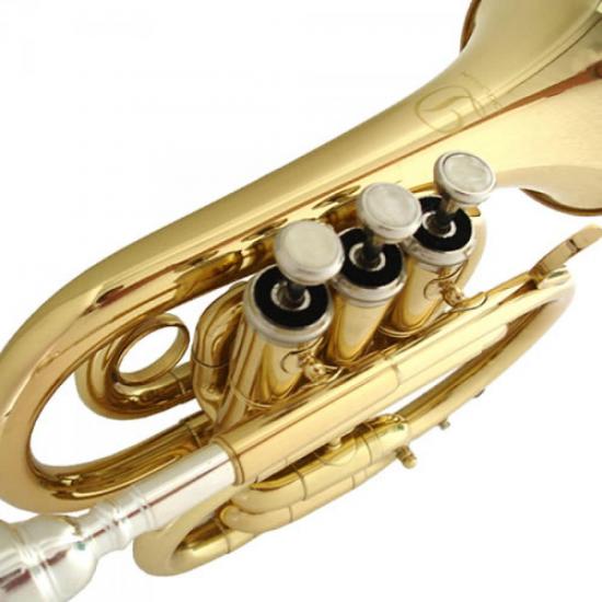 Trompete Pocket Laqueado Bb DOLPHIN por 0,00 à vista no boleto/pix ou parcele em até 1x sem juros. Compre na loja Mundomax!