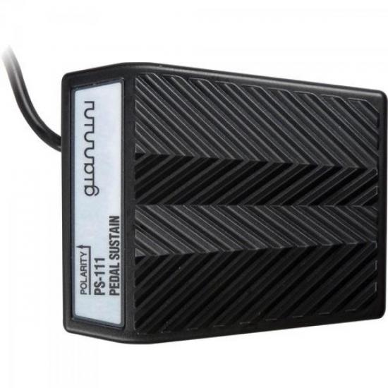Pedal Sustain PS111 AXcess GIANNINI por 0,00 à vista no boleto/pix ou parcele em até 1x sem juros. Compre na loja Mundomax!