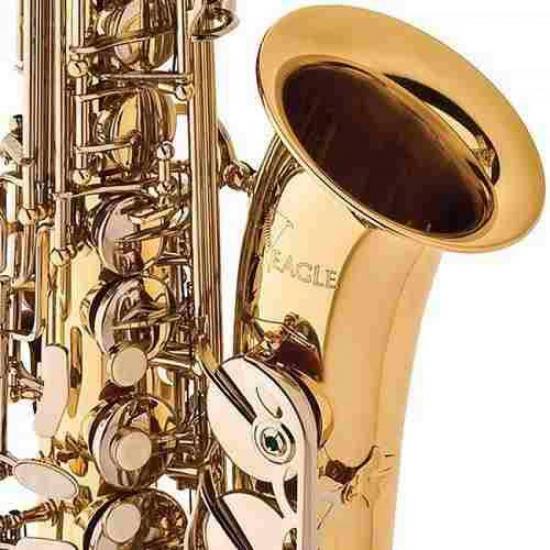 Saxofone Alto Eb SA500-LN Niquelado EAGLE por 0,00 à vista no boleto/pix ou parcele em até 1x sem juros. Compre na loja Mundomax!