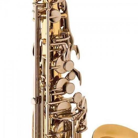 Saxofone Alto Eb SA500-LN Niquelado EAGLE por 0,00 à vista no boleto/pix ou parcele em até 1x sem juros. Compre na loja Mundomax!