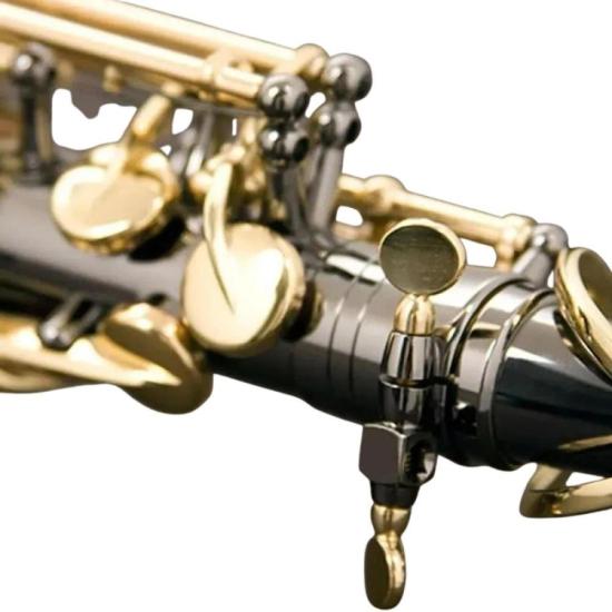 Saxofone Alto Eb SA500-BG Preto Onix EAGLE por 7.560,00 à vista no boleto/pix ou parcele em até 12x sem juros. Compre na loja Mundomax!