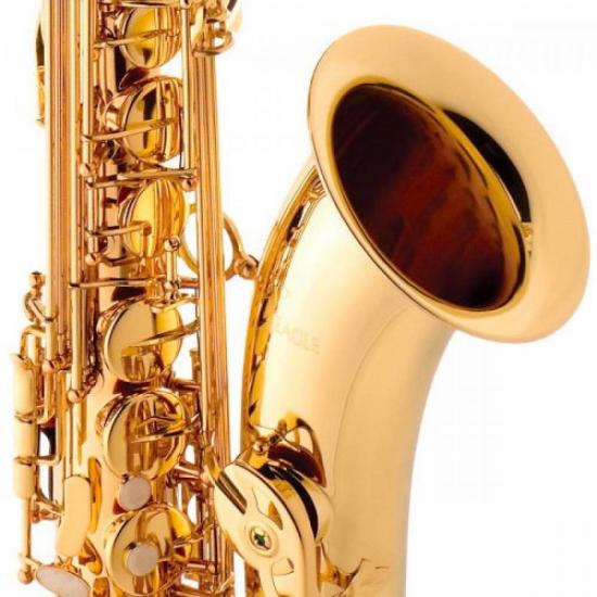 Saxofone Tenor EAGLE Bb ST503 Laqueado por 9.499,00 à vista no boleto/pix ou parcele em até 12x sem juros. Compre na loja Mundomax!