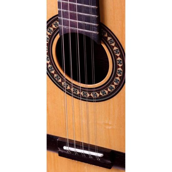 Viola ROZINI Caipira Elétrica Ponteio RV151.AT.N.I Natural por 1.467,99 à vista no boleto/pix ou parcele em até 12x sem juros. Compre na loja Mundomax!