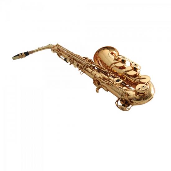 Saxofone Alto WSA GD Eb Laqueado WALDMAN por 0,00 à vista no boleto/pix ou parcele em até 1x sem juros. Compre na loja Mundomax!