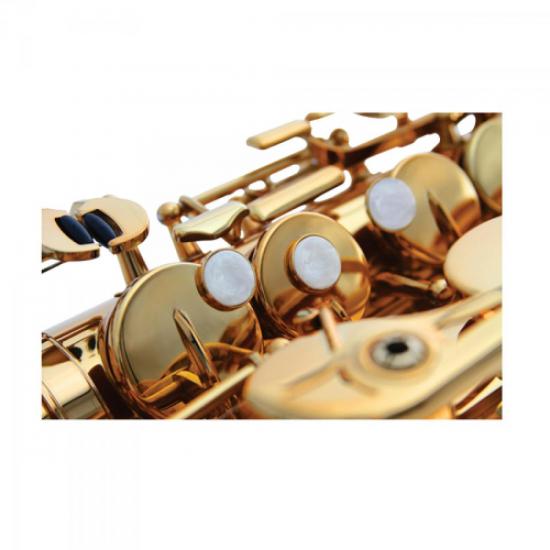 Saxofone Alto WSA GD Eb Laqueado WALDMAN por 0,00 à vista no boleto/pix ou parcele em até 1x sem juros. Compre na loja Mundomax!