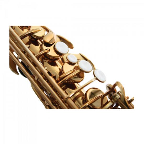 Saxofone Alto WSA GD Eb Laqueado WALDMAN por 0,00 à vista no boleto/pix ou parcele em até 1x sem juros. Compre na loja Mundomax!