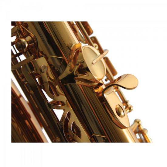 Saxofone Alto WSA GD Eb Laqueado WALDMAN por 0,00 à vista no boleto/pix ou parcele em até 1x sem juros. Compre na loja Mundomax!