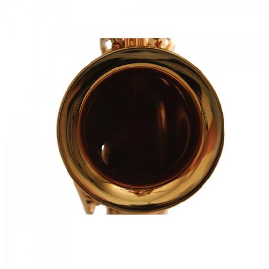 Saxofone Alto WSA GD Eb Laqueado WALDMAN por 0,00 à vista no boleto/pix ou parcele em até 1x sem juros. Compre na loja Mundomax!