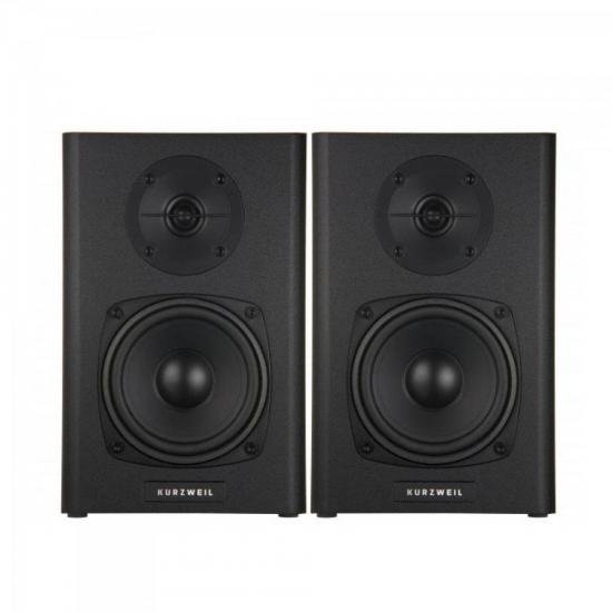 Monitor KS40A Preto KURZWEIL por 0,00 à vista no boleto/pix ou parcele em até 1x sem juros. Compre na loja Mundomax!