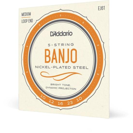 Encordoamento Banjo 5 Cordas .010-.010 EJ61 D\