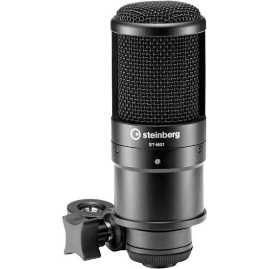 Kit de Recording Pack Steinberg UR22 MKII Preto por 2.172,99 à vista no boleto/pix ou parcele em até 12x sem juros. Compre na loja Mundomax!