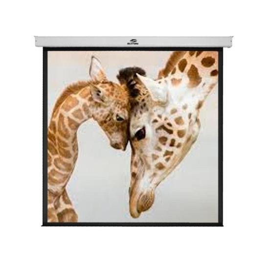 Tela de Projeção Retrátil Sumay TRQS110 2,00X2,00m por 599,00 à vista no boleto/pix ou parcele em até 10x sem juros. Compre na loja Mundomax!