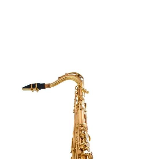 Saxofone Tenor Bb SGFT6435L Laqueado SHELTER por 5.139,99 à vista no boleto/pix ou parcele em até 12x sem juros. Compre na loja Mundomax!