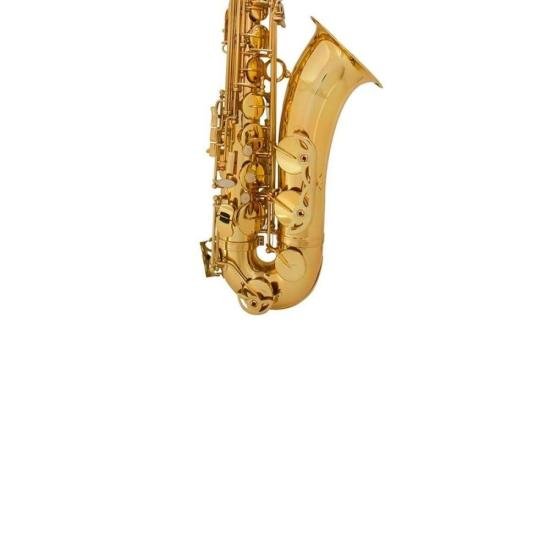 Saxofone Tenor Bb SGFT6435L Laqueado SHELTER por 5.139,99 à vista no boleto/pix ou parcele em até 12x sem juros. Compre na loja Mundomax!