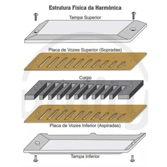 Gaita Diatônica em Dó (C) 20 Vozes Easy Blues Marrom HERING por 140,00 à vista no boleto/pix ou parcele em até 5x sem juros. Compre na loja Mundomax!