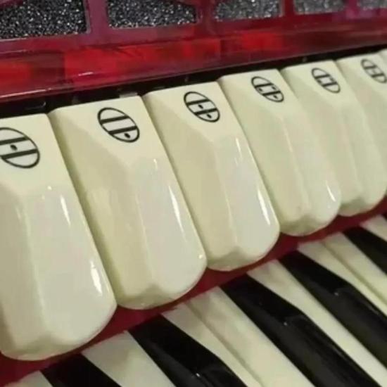 Acordeon 80 Baixos CD80/37 Vinho Pérola CADENZA por 7.099,00 à vista no boleto/pix ou parcele em até 12x sem juros. Compre na loja Mundomax!