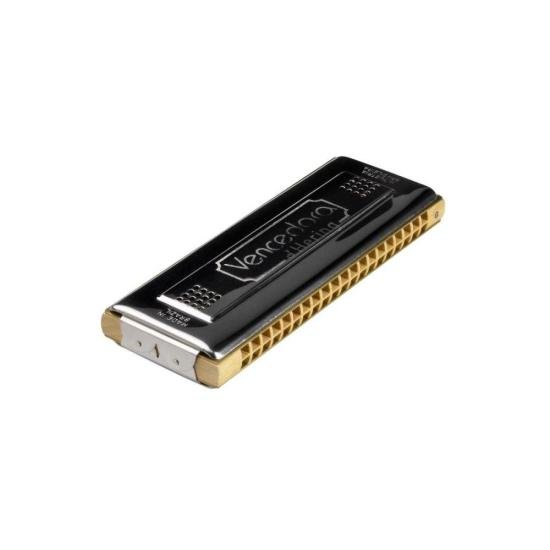 Gaita Hering Vencedora Dó/Sol 48 Vozes por 209,00 à vista no boleto/pix ou parcele em até 8x sem juros. Compre na loja Mundomax!