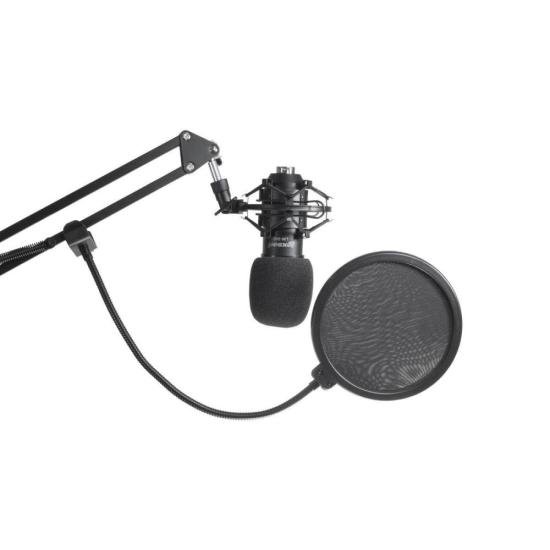 Kit Interface + Microfone Condensador LEXSEN Studio Caster por 998,00 à vista no boleto/pix ou parcele em até 10x sem juros. Compre na loja Mundomax!