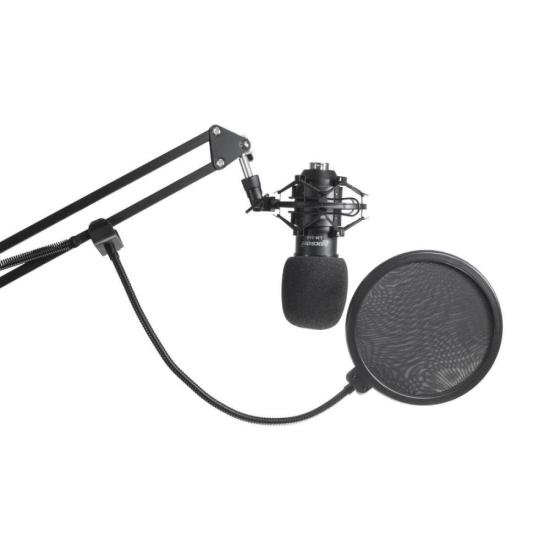 Kit Microfone Condensador LM-260 LEXSEN (77338)