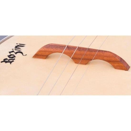 Banjo Elétrico Rozini RJ10ELNLP Natural por 2.499,00 à vista no boleto/pix ou parcele em até 12x sem juros. Compre na loja Mundomax!