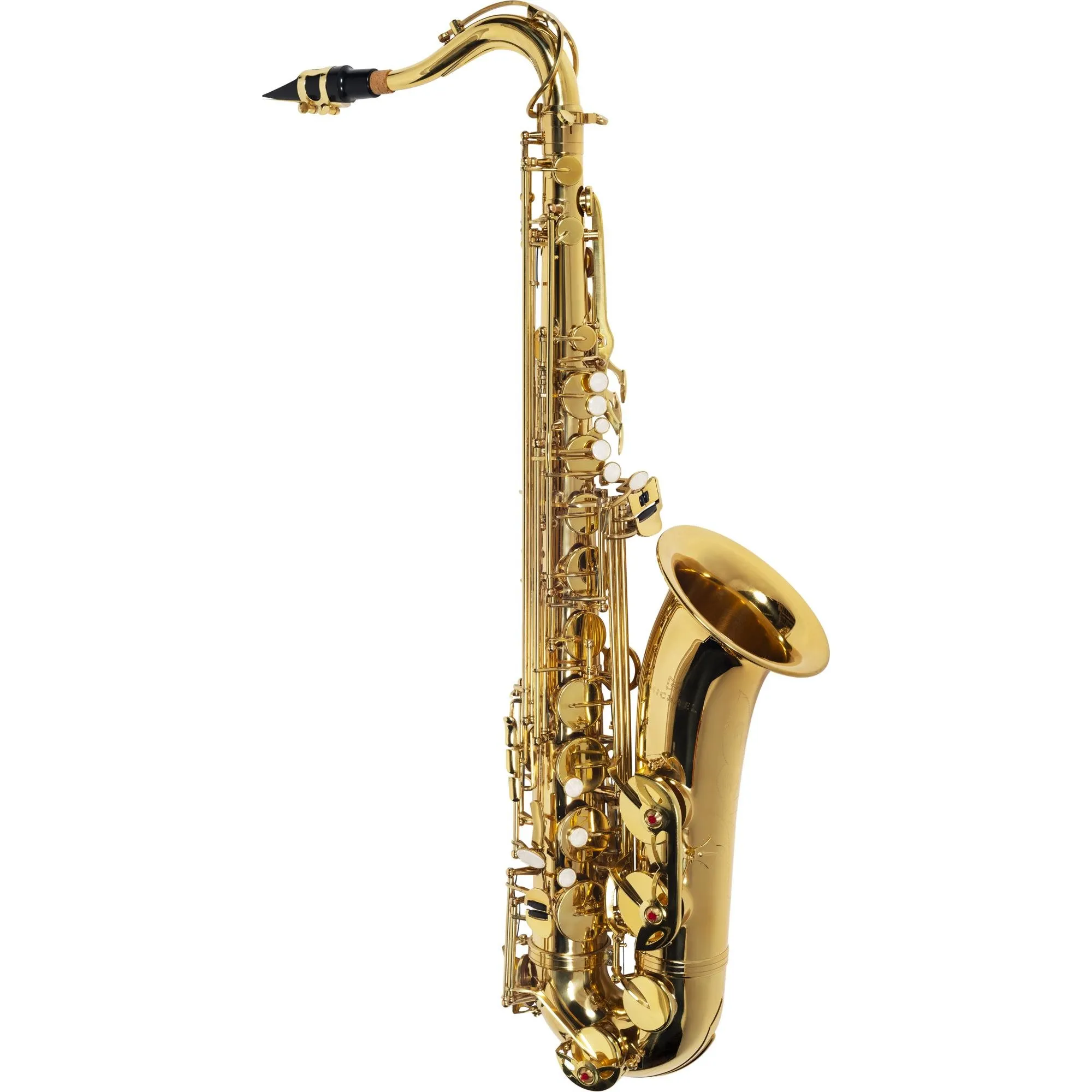Saxofone Tenor Michael WTSM30N Essence por 4.827,00 à vista no boleto/pix ou parcele em até 12x sem juros. Compre na loja Mundomax!