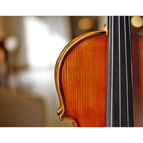 Violino 4/4 BVA 701S Benson por 1.299,00 à vista no boleto/pix ou parcele em até 12x sem juros. Compre na loja Mundomax!