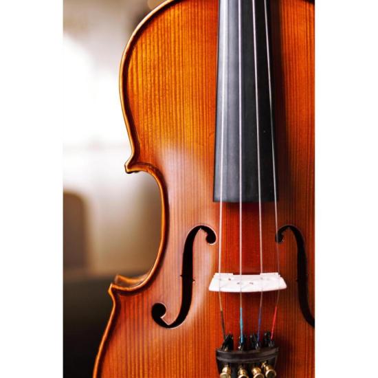 Violino 4/4 BVA 701S Benson por 1.299,00 à vista no boleto/pix ou parcele em até 12x sem juros. Compre na loja Mundomax!