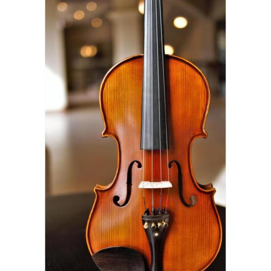 Spazzola Per Bucato A Forma Di Violino - Bianca, 16x7x3 Cm, In Plastica - Foto 13