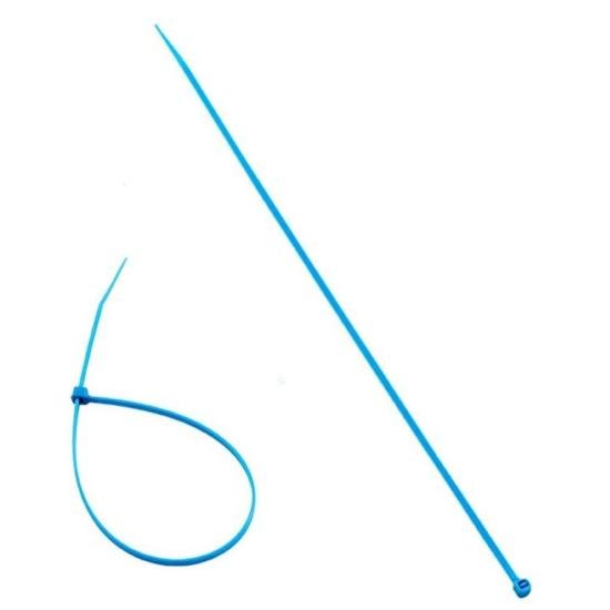 Braçadeira Nylon 2,5x100mm Color Azul Brasfort por 8,00 à vista no boleto/pix ou parcele em até 1x sem juros. Compre na loja Mundomax!