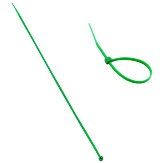 Braçadeira Nylon 2,5x100mm Color Verde Brasfort por 5,99 à vista no boleto/pix ou parcele em até 1x sem juros. Compre na loja Mundomax!