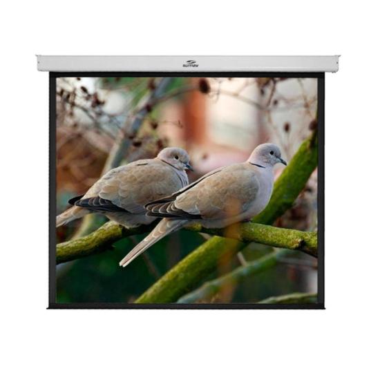 Tela de Projeção Retrátil Sumay TRVS120 2,34X1,75m por 910,99 à vista no boleto/pix ou parcele em até 10x sem juros. Compre na loja Mundomax!