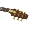 Guitarra Aria Pro II PE-F80 Stained Brown - Aria