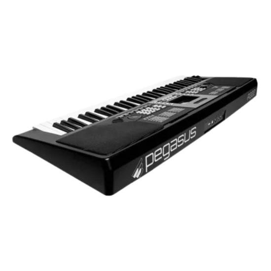 Teclado Pegasus P222 por 1.899,00 à vista no boleto/pix ou parcele em até 12x sem juros. Compre na loja Mundomax!