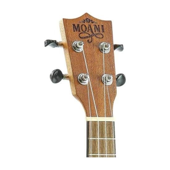 Ukulele Moani Ukmh02-23 Concert Acústico Com Bag Luxo por 439,00 à vista no boleto/pix ou parcele em até 10x sem juros. Compre na loja Mundomax!