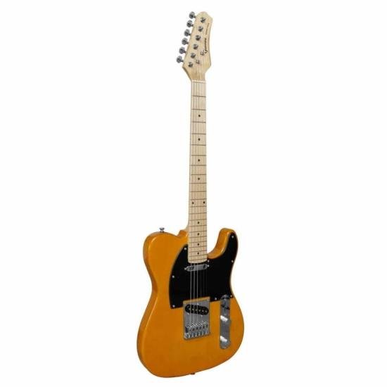GUITARRA GIANNINI GAE02 PLUS BSB por 1.049,00 à vista no boleto/pix ou parcele em até 12x sem juros. Compre na loja Mundomax!
