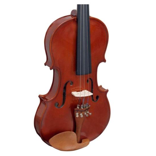 Violino Giannini GVS 4/4 Com Case Natural por 0,00 à vista no boleto/pix ou parcele em até 1x sem juros. Compre na loja Mundomax!