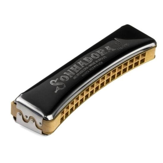 Gaita HERING Sonhadora 48 Oitavada C por 250,00 à vista no boleto/pix ou parcele em até 10x sem juros. Compre na loja Mundomax!